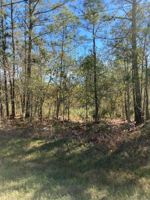 0 County Fair Dr, Hockley, TX 77447 - photo 3