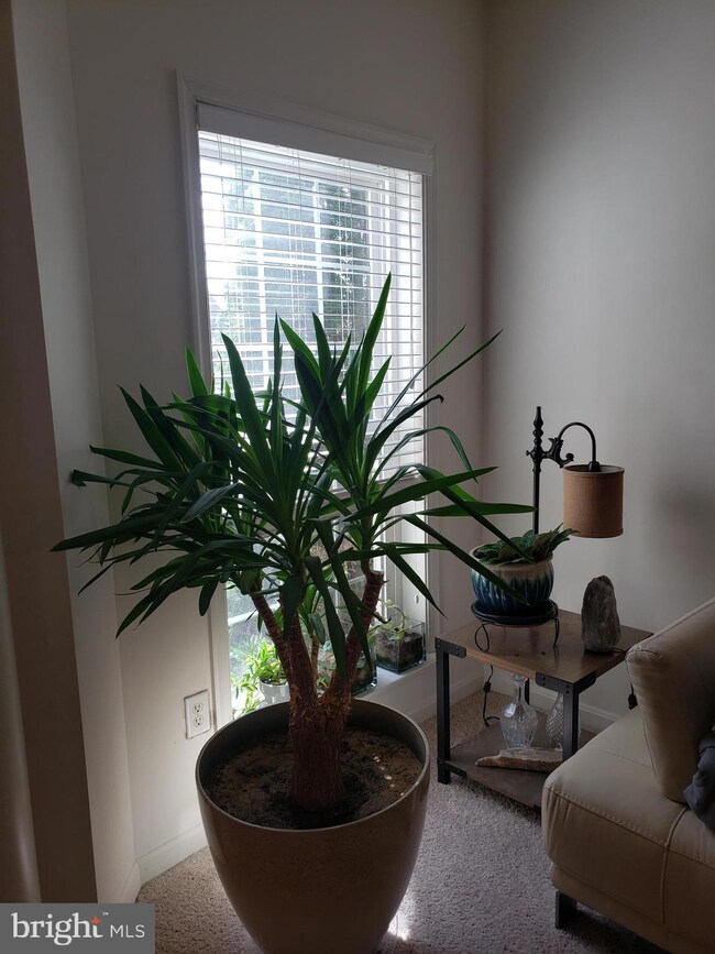 1207 Stevenage Ct, Abingdon, MD 21009 - photo 7