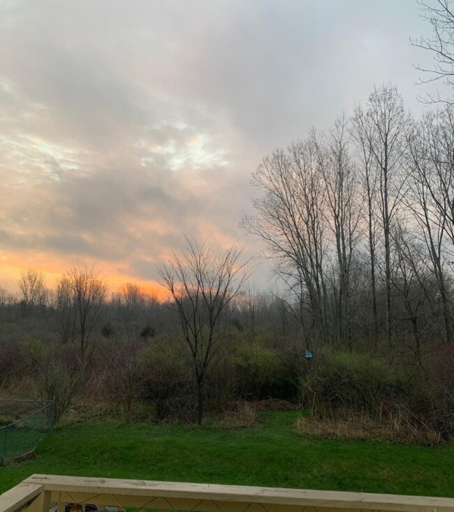 sunset back