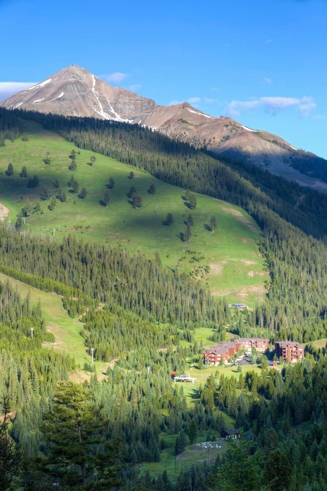 1000 Lone Moose Dr unit 208, Big Sky, MT 59716 - photo 6