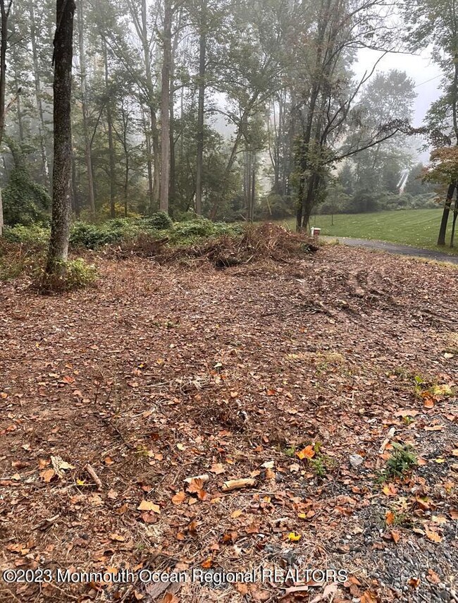 86-1 Douglass Ave, Bernardsville, NJ 07924 - photo 4