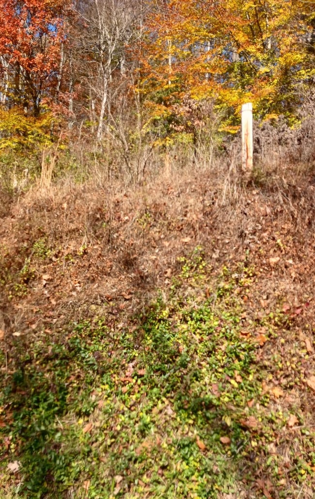 0 Lower Gambier Rd, Mount Vernon, OH 43050 - photo 3