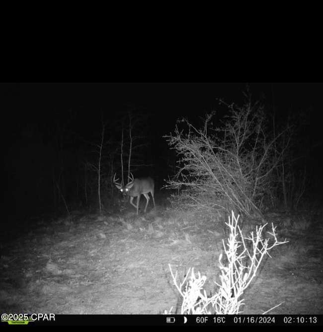 516 Goshun Creek Rd, Chipley, FL 32428 - photo 3