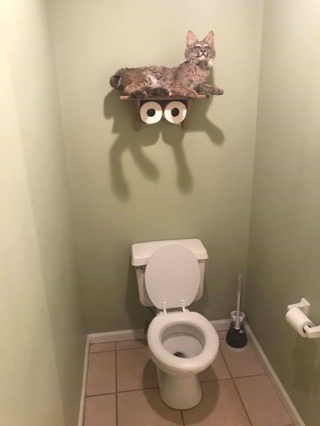 3208 State Highway 134 E, Headland, AL 36345 - photo 7