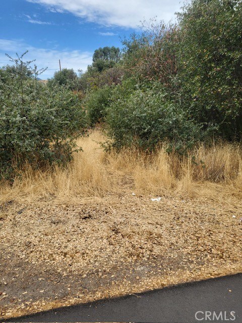 3095 7th St, Clearlake, CA 95422 - photo 5