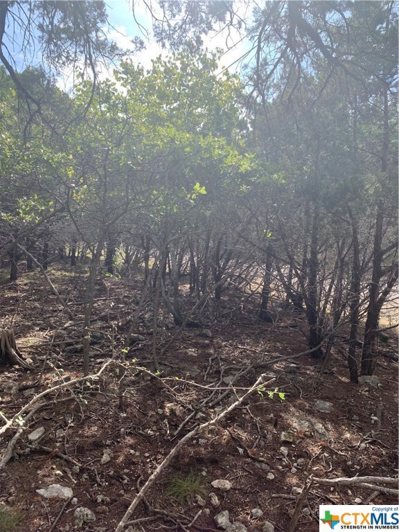 5519 Angelina, Temple, TX 76502 - photo 3