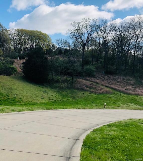 1157 Breton Woods Tbb Oxford II Ct, Wildwood, MO 63005 - photo 5