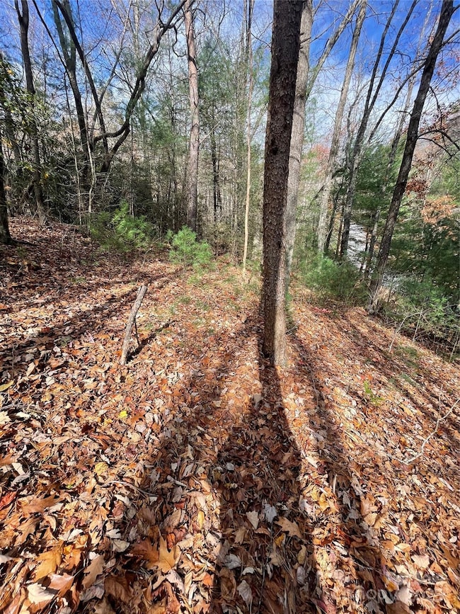 00 Pinnacle Falls Ln, Zirconia, NC 28790 - photo 6