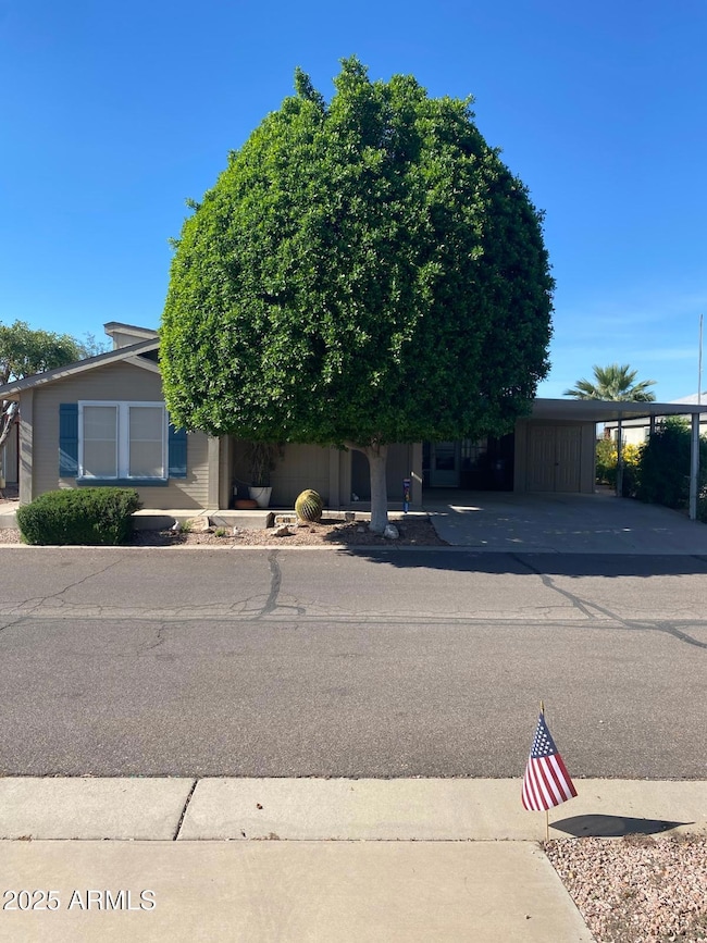 WhatsApp Image 2025-11-18 at 3.12.31 PM