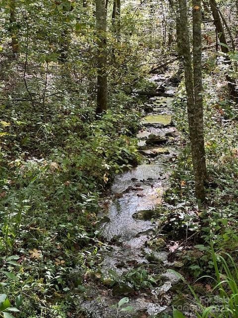 H16-H17 Shady Grove Rd, Tuckasegee, NC 28783 - photo 4