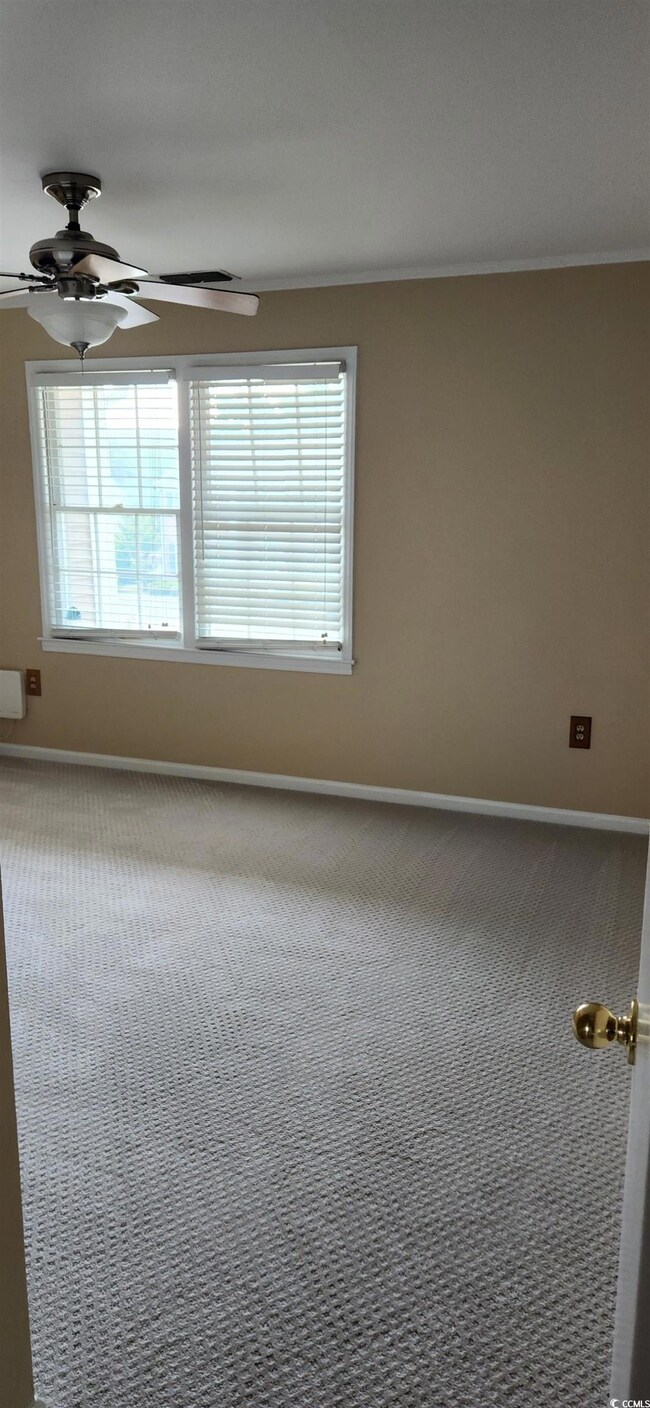 Unfurnished room with ornamental molding, carpet, and ceiling fan