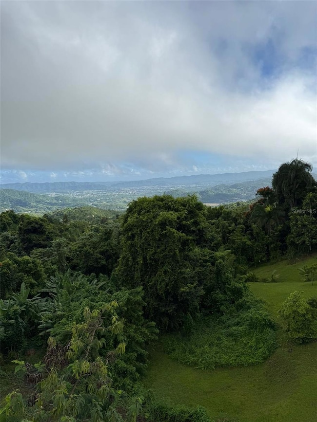 Borinquen Caguas Pr 763, Caguas, PR 00725 - photo 6