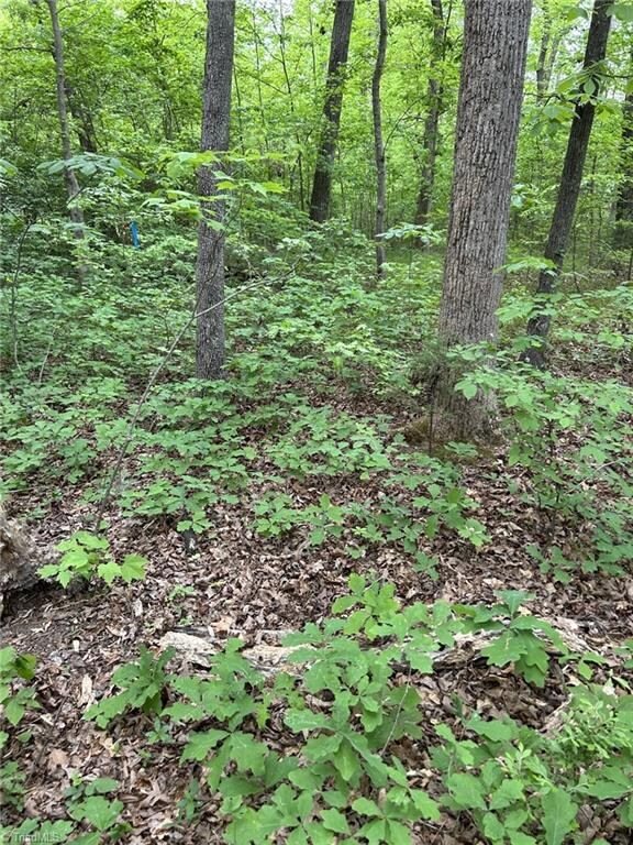 5909 Dehaven Rd, Pleasant Garden, NC 27313 - photo 3