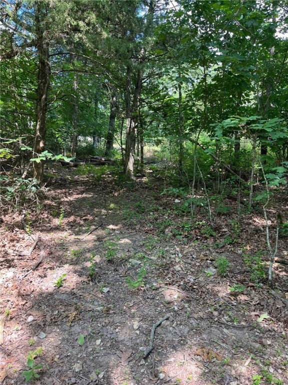 0 Strathdon Ln, Bella Vista, AR 72715 - photo 4