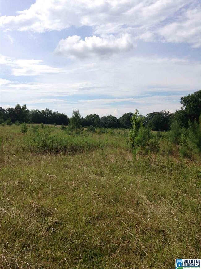 This property is located on a paved road in a grea