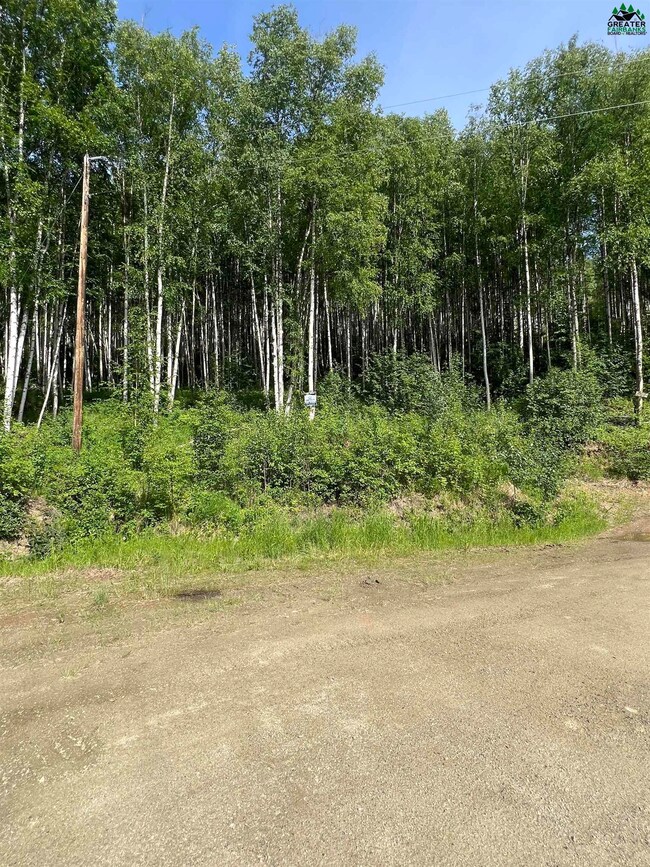 NHN Snowbasin Rd, Fairbanks, AK 99709 - photo 2