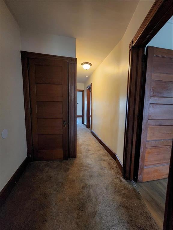 445 Daniels Rd, Nazareth, PA 18064 - photo 5