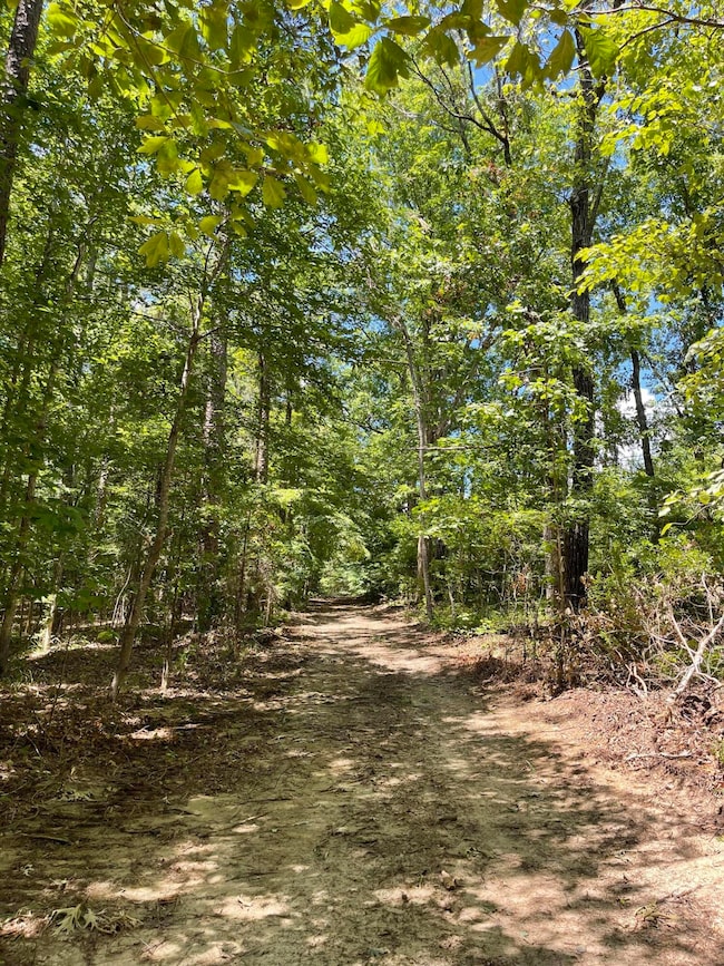 0 Cr 432 unit 22-2165, Rienzi, MS 38865 - photo 4