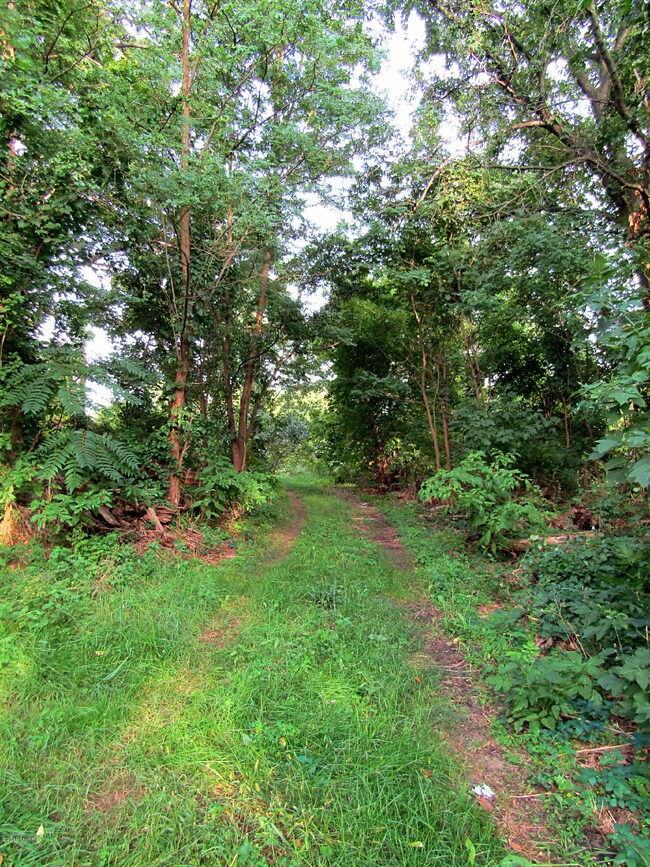 4790 Buttrick Ave SE, Grand Rapids, MI 49512 - photo 5