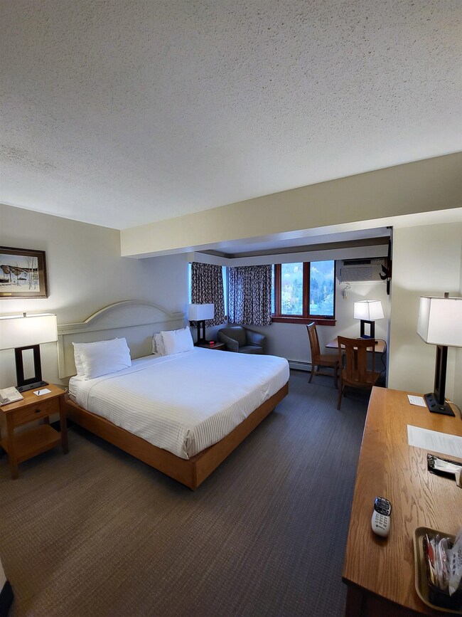 90 Loon Mountain Rd unit 1165 A-D, Lincoln, NH 03251 - photo 3