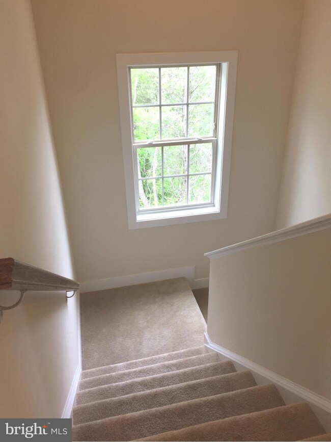 20500 Zolabeane Square, Sterling, VA 20165 - photo 6