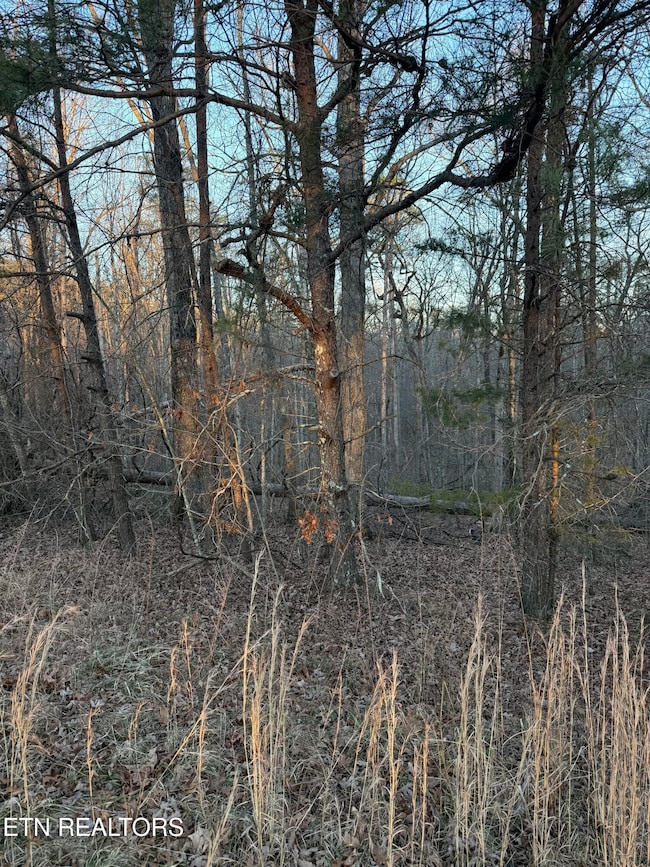 Lot 5 W Laurel Way, Monterey, TN 38574 - photo 2