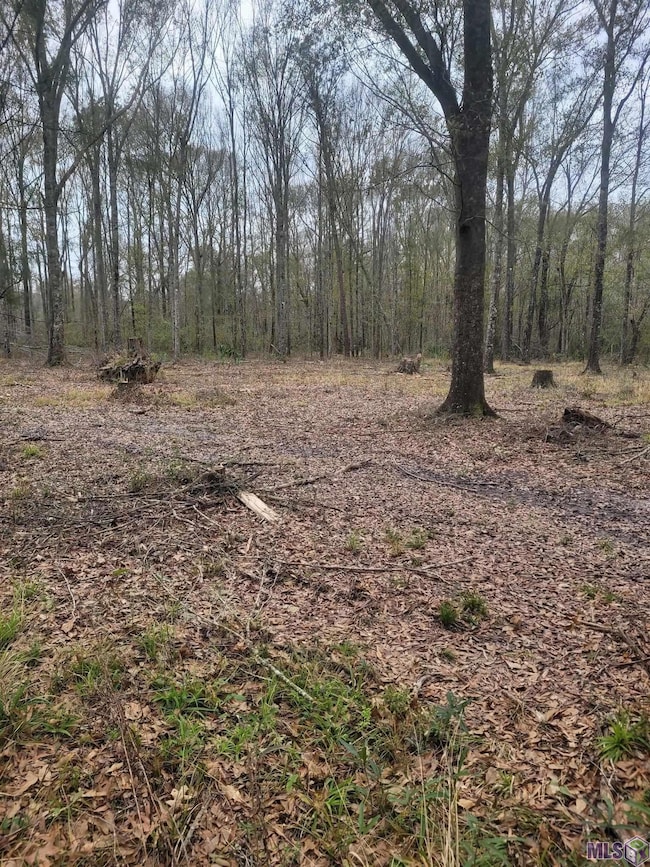 10851 Hidden Cypress Ct, Central, LA 70714 - photo 3