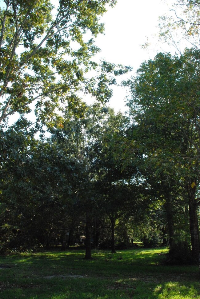 505 Leisure Ln, Friendswood, TX 77546 - photo 2