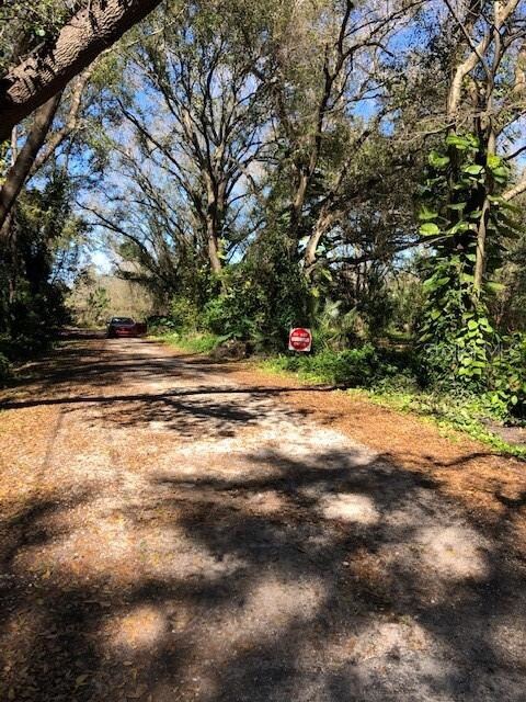 10230 Leroy Ave, Tampa, FL 33619 - photo 3