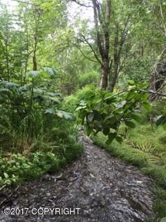 4050 Virgo Ave, Anchorage, AK 99516 - photo 5