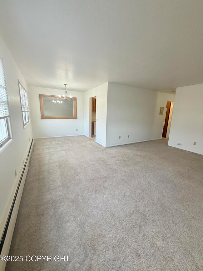 Spacious Living Room