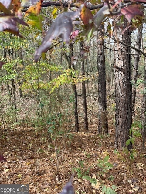 0 Old Bill Cook Rd unit 10419455, Atlanta, GA 30349 - photo 3