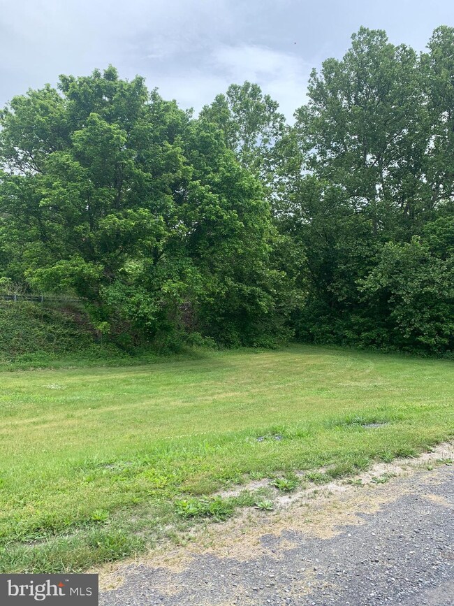 0 Reliance unit VAWR143816, Front Royal, VA 22630 - photo 6