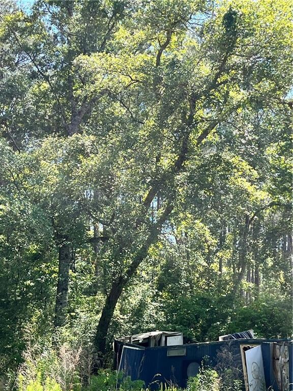 NICE SHADE TREES