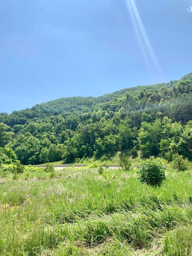 E93635B3-4C2B-45D7-AAA0-AFEF2C0D2138