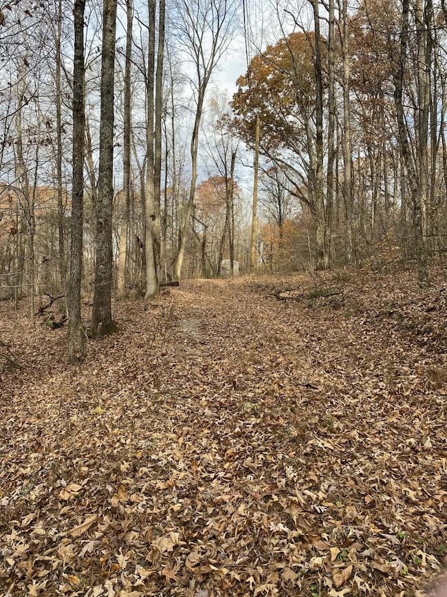 1929 Nichols Quarry Rd, Knoxville, TN 37920 - photo 3