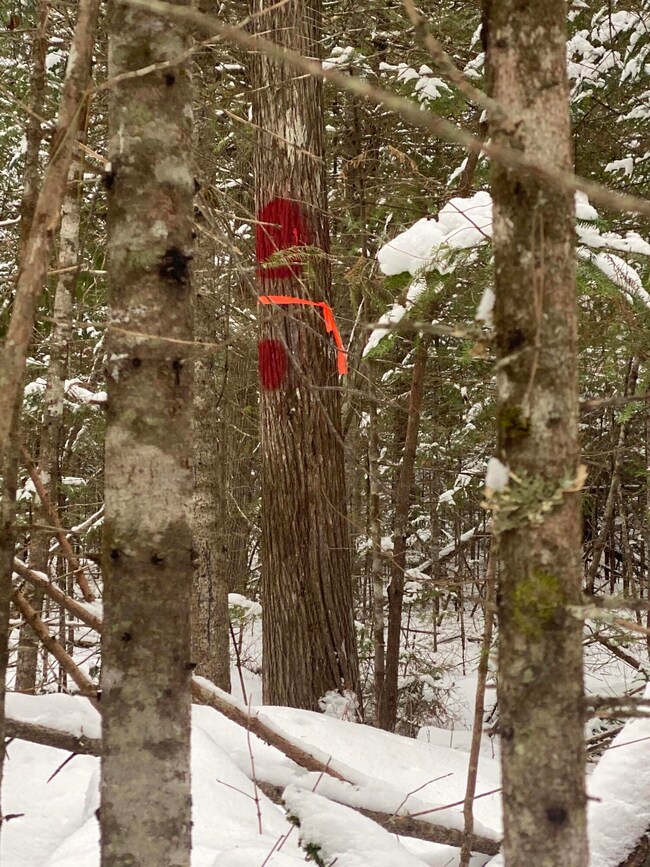 Lot 12 Jim Eaton Hill Rd, T3 R4 Bkp Wkr, ME 04691 - photo 2