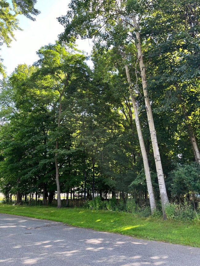 1503 1st Ave E, Menomonie, WI 54751 - photo 2