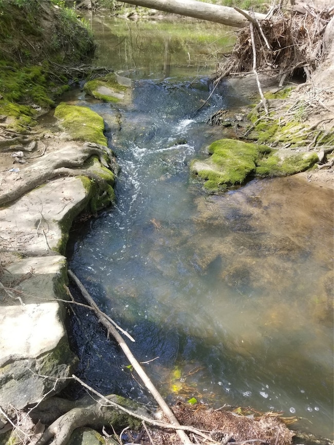 Spring-fed Mill Creek