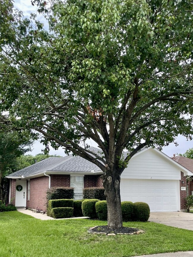 Mature trees offer gentle shad and privacy.