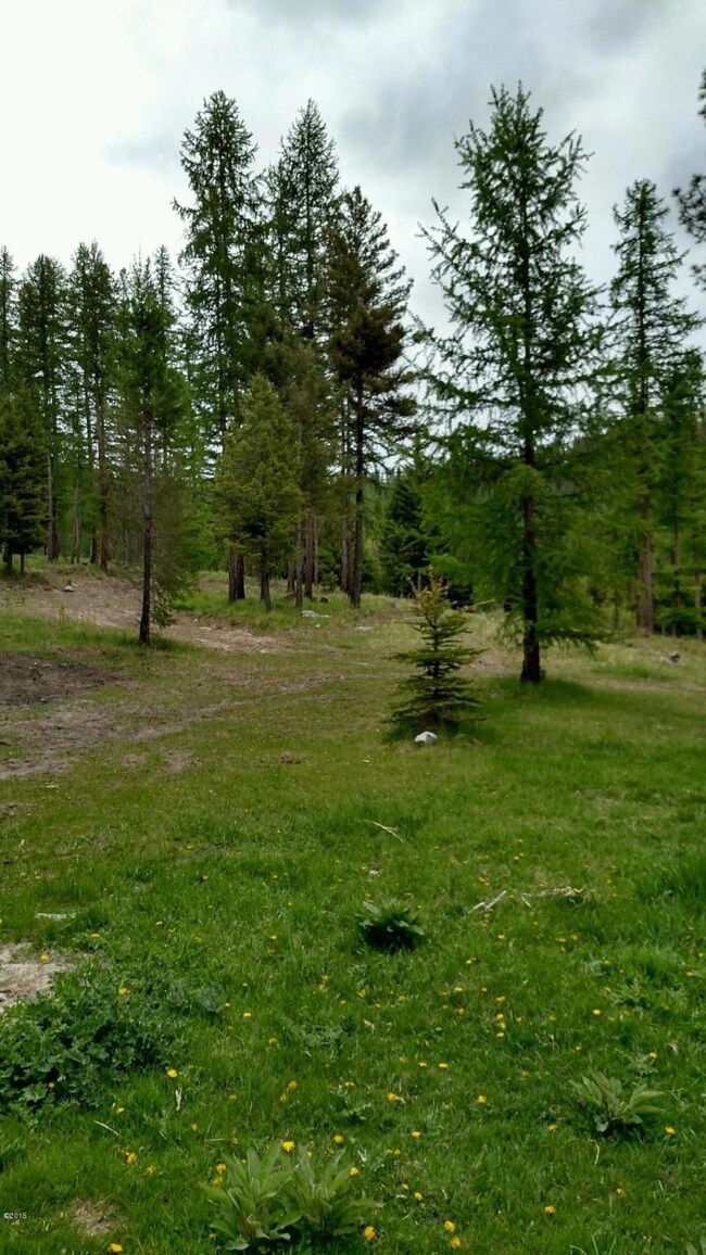 970 Spring Hill Rd, Kila, MT 59920 - photo 5
