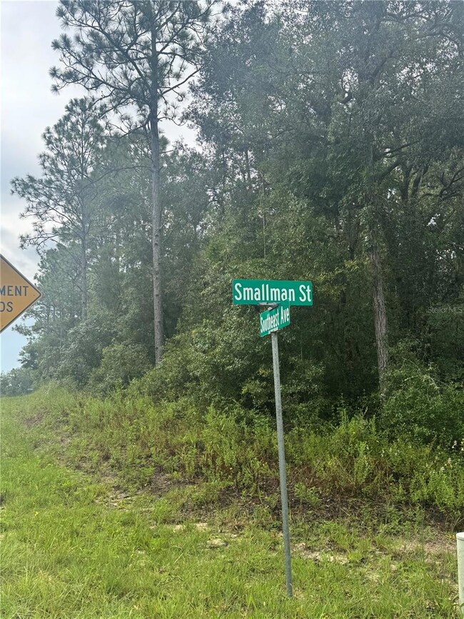 0 Southeast Ave unit MFRO6338893, Webster, FL 33597 - photo 3