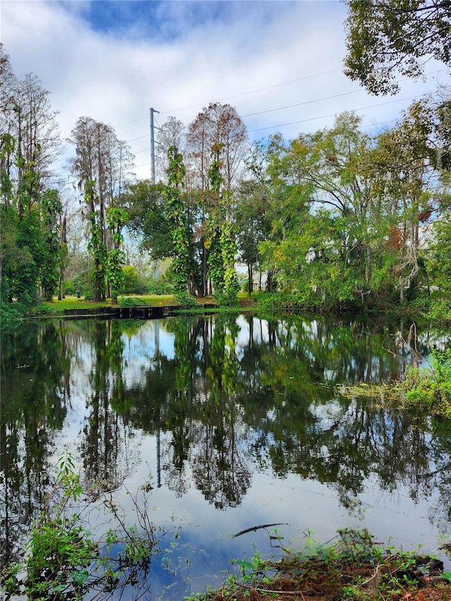 19018 Geraci Rd, Lutz, FL 33548 - photo 7