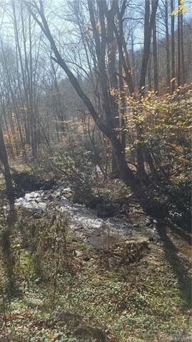 000 Fox Creek Rd, Burnsville, NC 28714 - photo 2