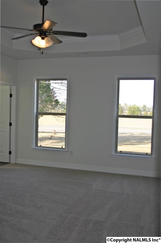Spacious master bedroom with trey ceiling, crown molding and ceiling fan