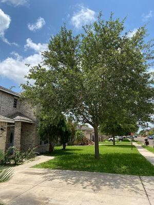 3718 S Rhonda St, Edinburg, TX 78539 - photo 5
