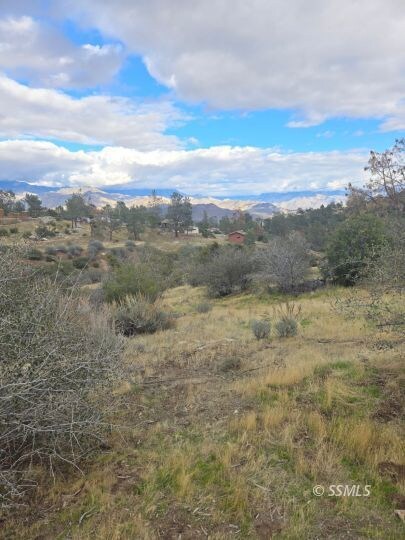 062-241-16 O St, Lake Isabella, CA 93285 - photo 4