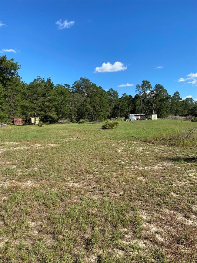 17171 SW 17th Cir, Ocala, FL 34473 - photo 6