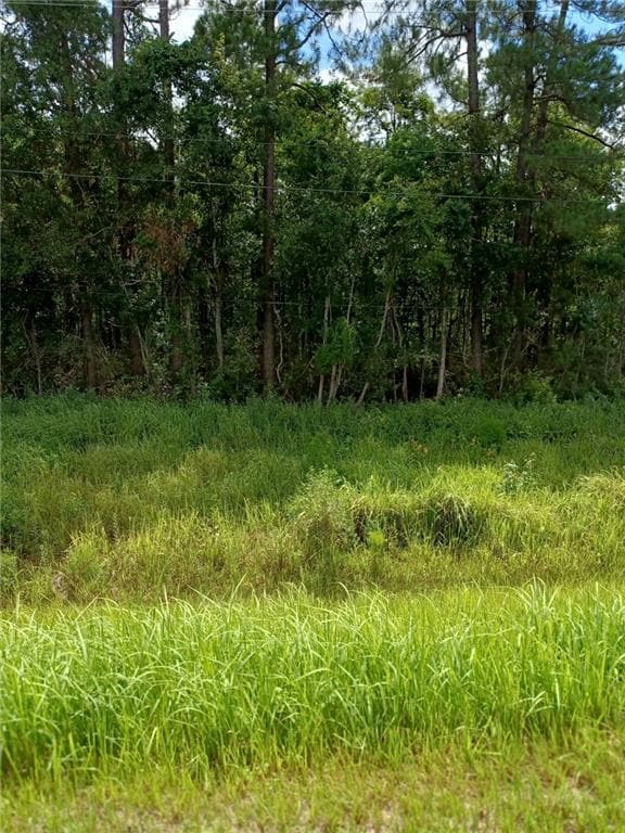 0 Highway 43 unit 7318225, Saraland, AL 36571 - photo 3