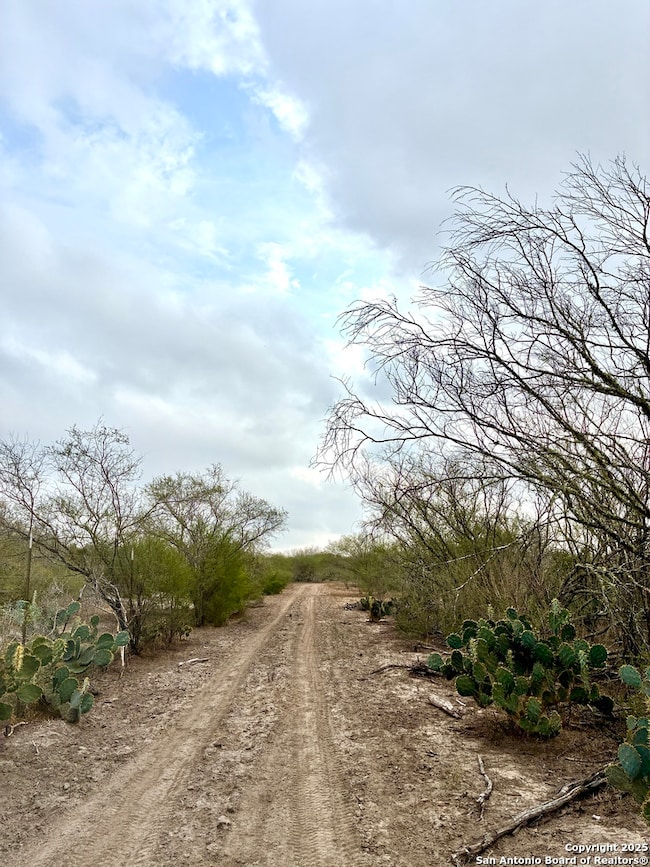 2713 Fm 716, Premont, TX 78375 - photo 4